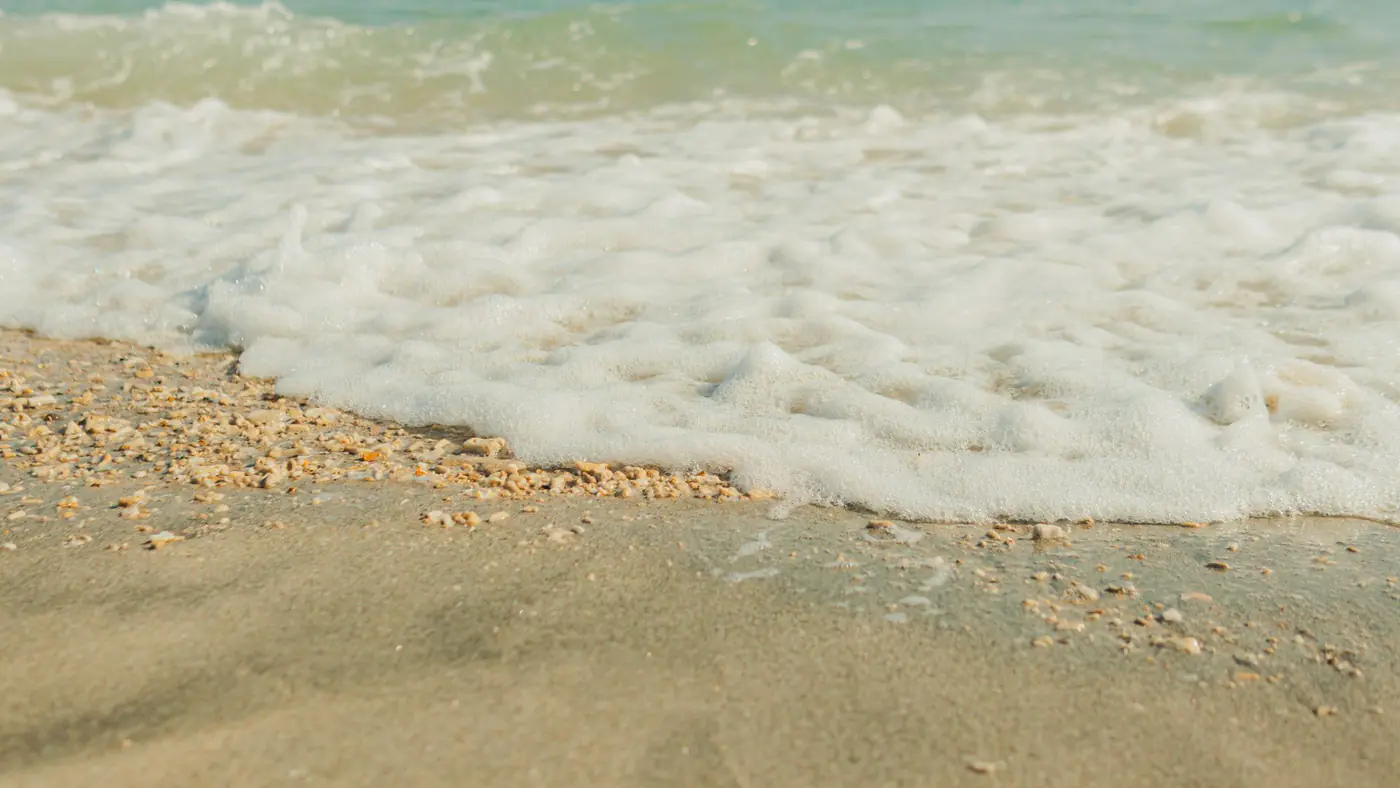 Peaceful sandy beach with gentle sea foam lapping at the shore, perfect for relaxation.