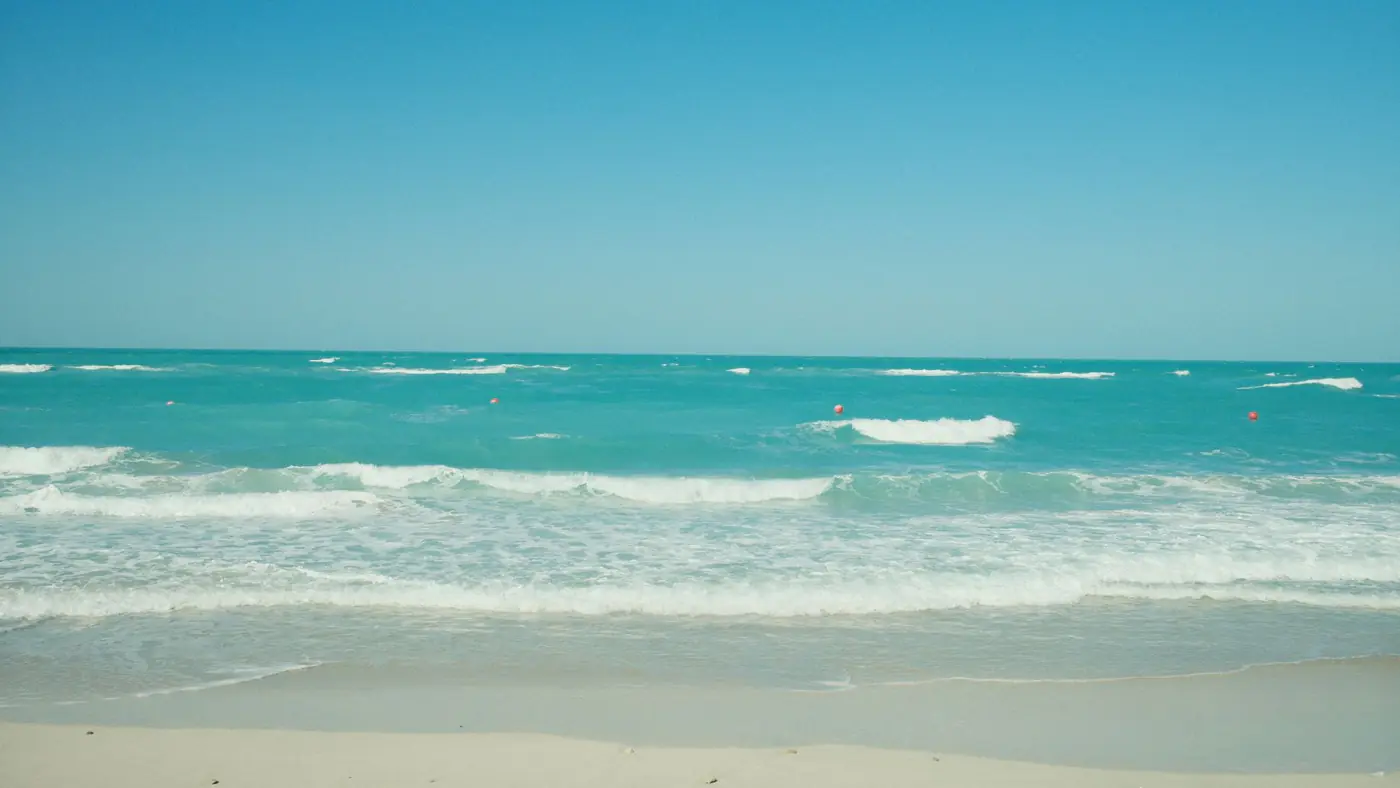Tranquil sandy beach with gentle ocean waves under a clear blue sky.
