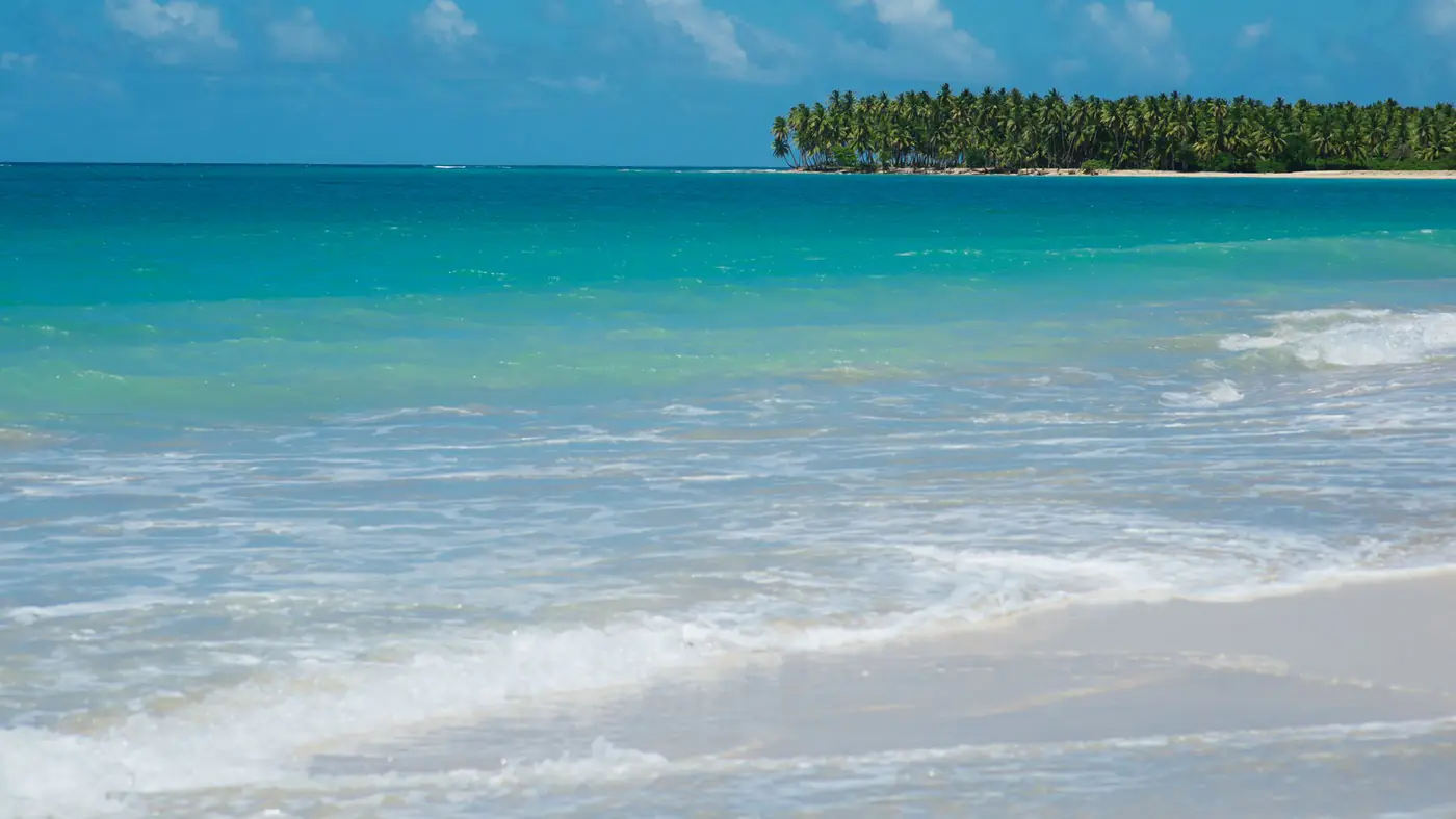 Serene tropical beach scene with turquoise water and palm-lined coast, perfect for a vacation or travel theme.