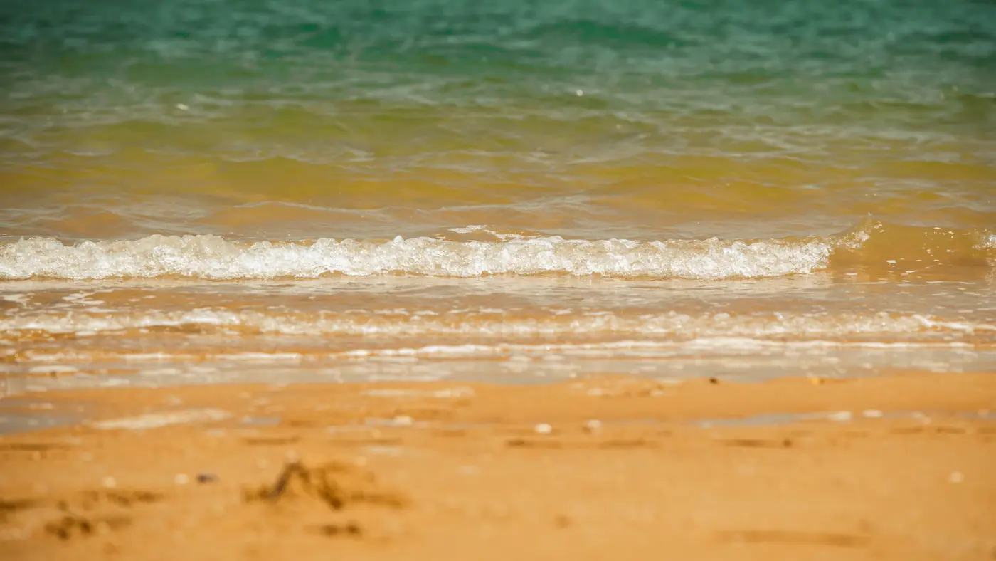 Calm beach scene with waves lapping against the sandy shore under a clear sky.