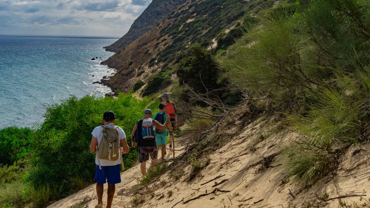 Four hikers enjoy a scenic trek along a coastal trail with lush greenery and ocean views.