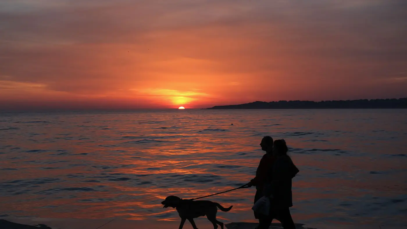 A couple walking their dog along the coast during a stunning Istanbul sunset, creating a serene silhouette.