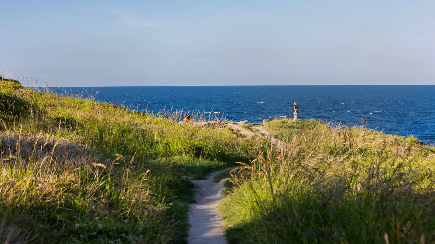 Explore a serene coastal path with lush meadows and a distant lighthouse by the sea.